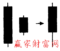 家鴿形態(tài)的簡(jiǎn)化