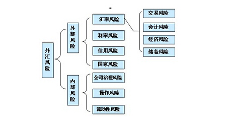 外匯風(fēng)險(xiǎn)分析