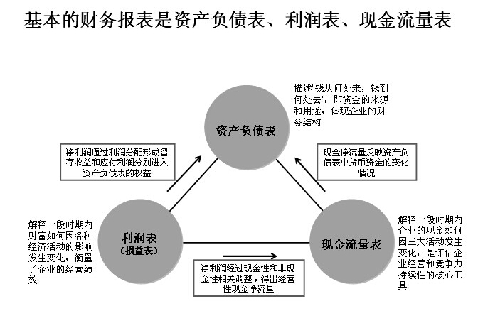 公司分析