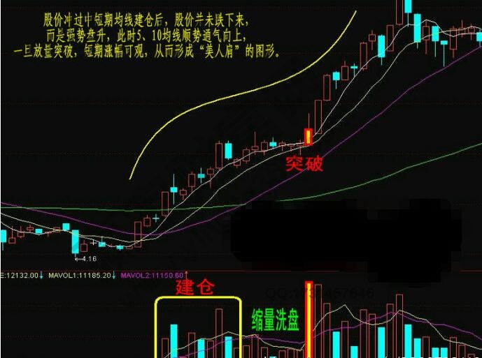 美人肩形態(tài)圖解