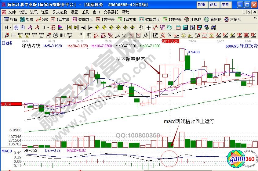 綠庭投資600695