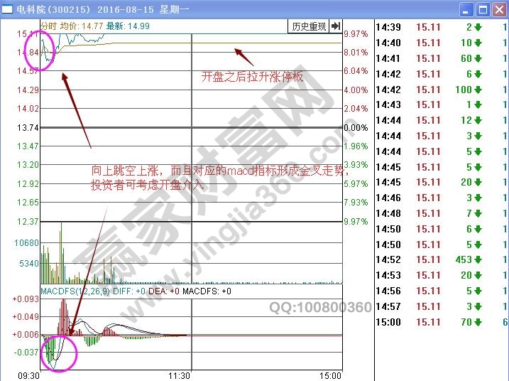 電科院分時圖